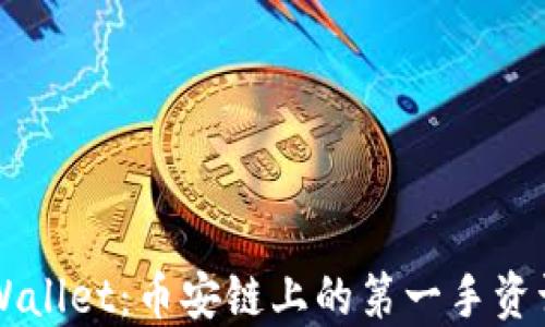 
深入探索TPWallet：币安链上的第一手资讯与未来展望