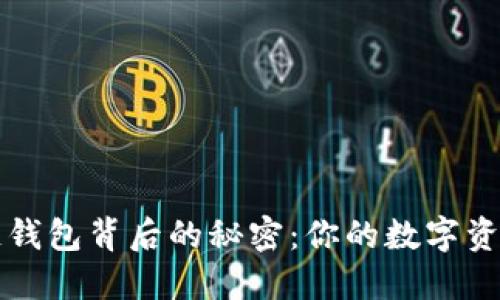 解密区块链钱包背后的秘密：你的数字资产安全之钥
