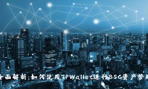 全面解析：如何使用TPWallet进行BSC资产管理