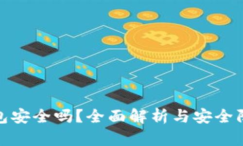 柚子钱包安全吗？全面解析与安全防护措施