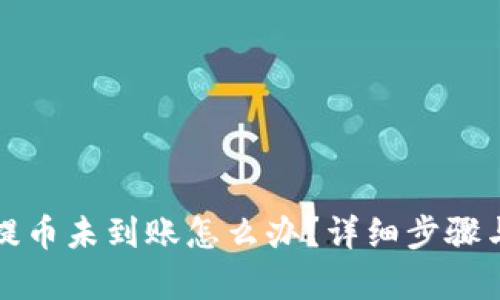 tpwallet提币未到账怎么办？详细步骤与解决方法