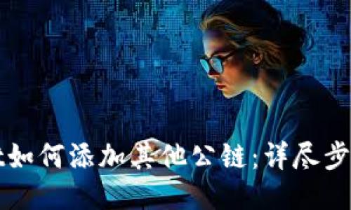 TPWallet如何添加其他公链：详尽步骤与技巧