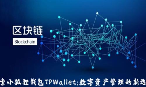 
探索小狐狸钱包TPWallet：数字资产管理的新选择