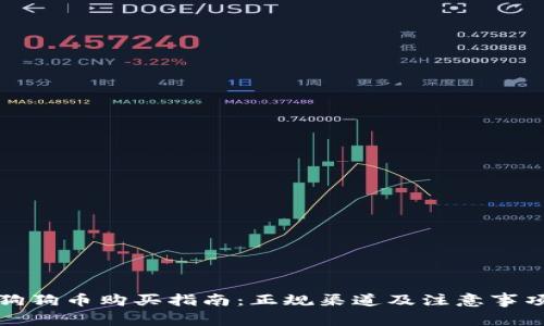 狗狗币购买指南：正规渠道及注意事项