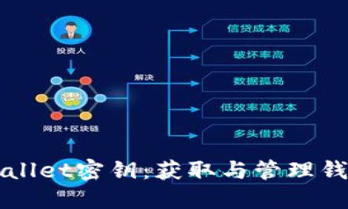 如何查看TPWallet密钥：获取与管理钱包密钥的方法