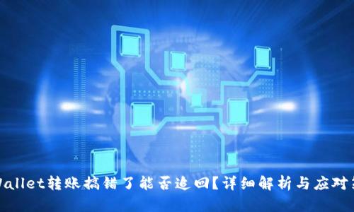 TPWallet转账搞错了能否追回？详细解析与应对策略