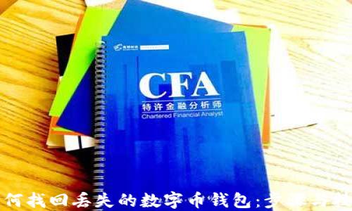 
如何找回丢失的数字币钱包：步骤与技巧