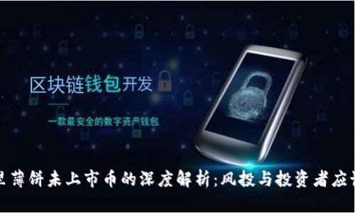 tpwallet里薄饼未上市币的深度解析：风投与投资者应该关注哪些