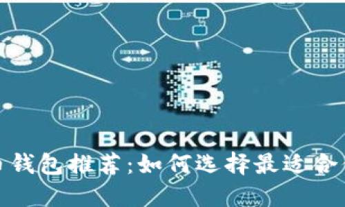 数字加密货币钱包推荐：如何选择最适合你的数字钱包
