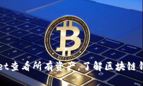 如何在TPWallet查看所有资产，了解区块链钱包的使用技巧