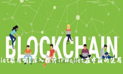 国内TPWallet能用吗？深入探讨TPWallet在中国的使用现状与未来