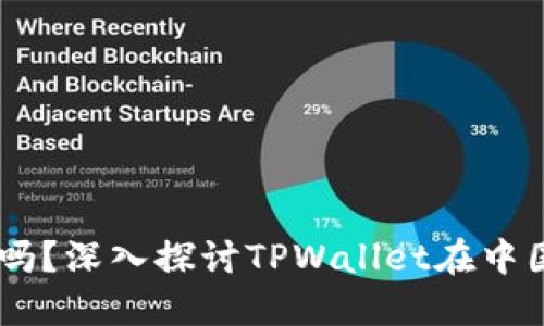 国内TPWallet能用吗？深入探讨TPWallet在中国的使用现状与未来