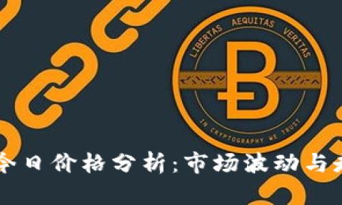 柴犬币今日价格分析：市场波动与走势解析