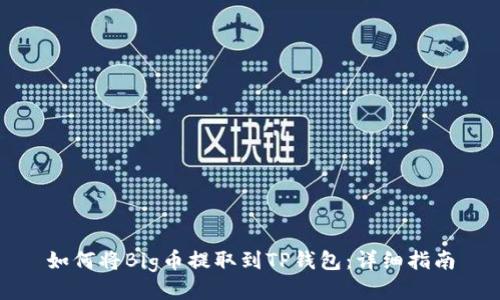 如何将Big币提取到TP钱包：详细指南