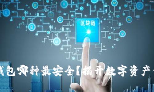 虚拟币软钱包哪种最安全？揭开数字资产保护的秘密