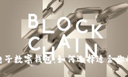 全球最大电子数字钱包：如何选择适合你的钱包服务