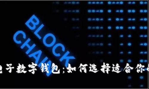 全球最大电子数字钱包：如何选择适合你的钱包服务