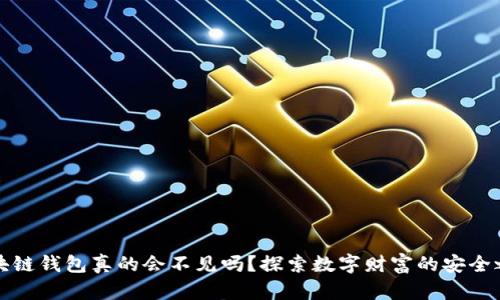 区块链钱包真的会不见吗？探索数字财富的安全之道