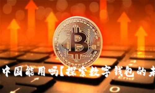 IM钱包在中国能用吗？探索数字钱包的未来与应用