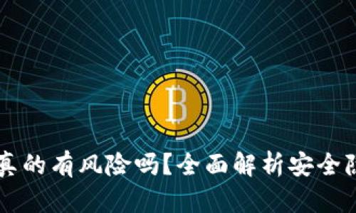 下载TPWallet真的有风险吗？全面解析安全隐患与防范措施