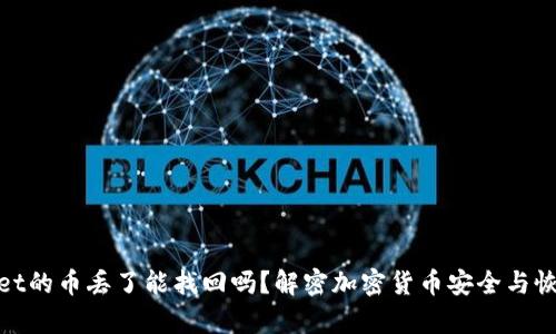 tpwallet的币丢了能找回吗？解密加密货币安全与恢复技巧