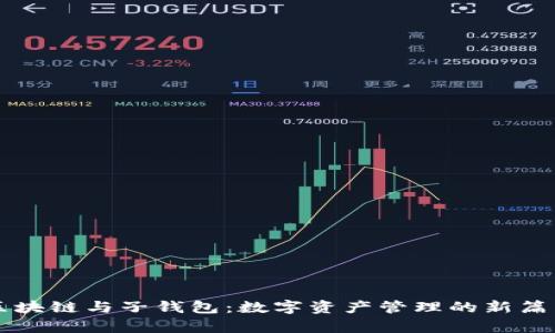区块链与子钱包：数字资产管理的新篇章