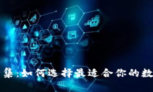 区块链钱包大全集：如何选择最适合你的数字资产管理工具