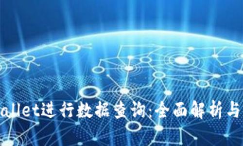 使用TPWallet进行数据查询：全面解析与实用指南