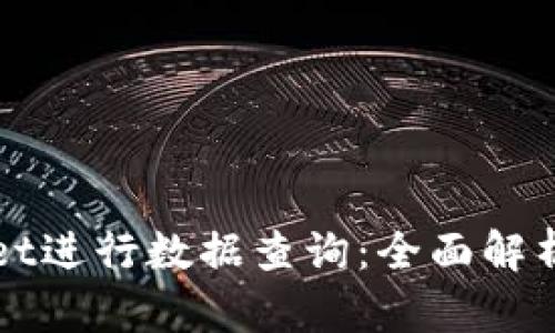 使用TPWallet进行数据查询：全面解析与实用指南