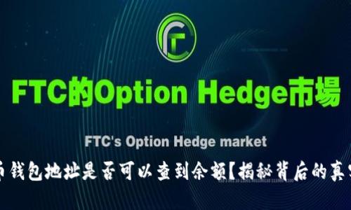 虚拟币钱包地址是否可以查到余额？揭秘背后的真实情况