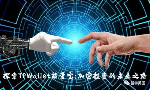探索TPWallet能量宝：加密投资的未来之路