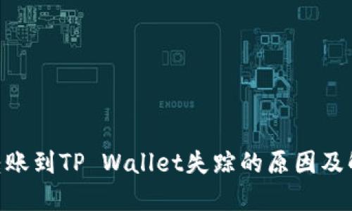  USDT转账到TP Wallet失踪的原因及解决方案