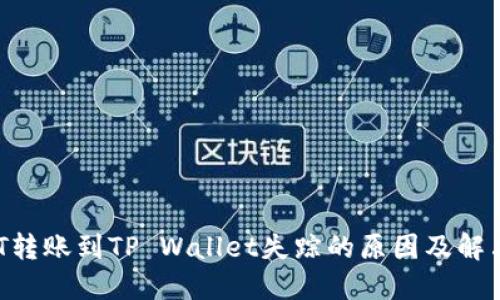  USDT转账到TP Wallet失踪的原因及解决方案