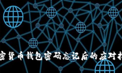 加密货币钱包密码忘记后的应对指南