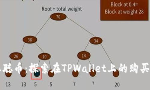 中本聪币：探索在TPWallet上的购买途径