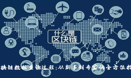 区块链数据查询过程：从新手到专家的全方位指南