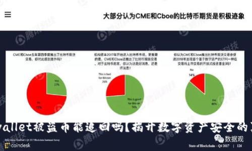  tpwallet被盗币能追回吗？揭开数字资产安全的真相！