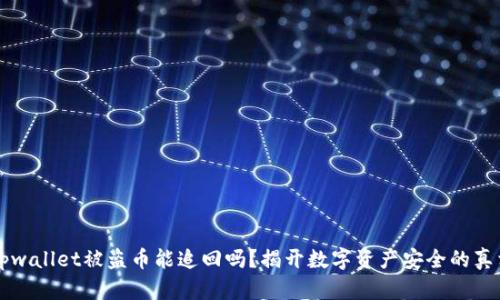  tpwallet被盗币能追回吗？揭开数字资产安全的真相！