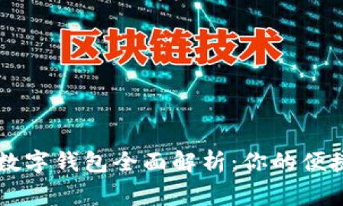 国内常用数字钱包全面解析：你的便捷支付伴侣