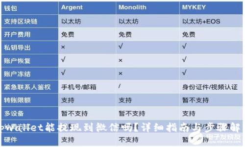 tpwallet能提现到微信吗？详细指南与步骤解析